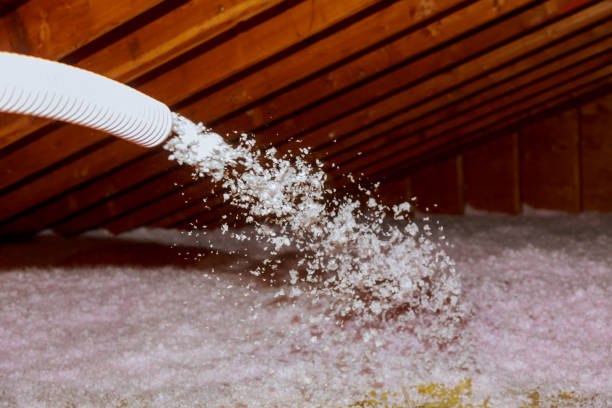 Best Insulation for New Construction  in Watkins Glen, NY