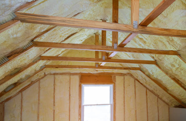 Best Soundproof Insulation Installation  in Watkins Glen, NY
