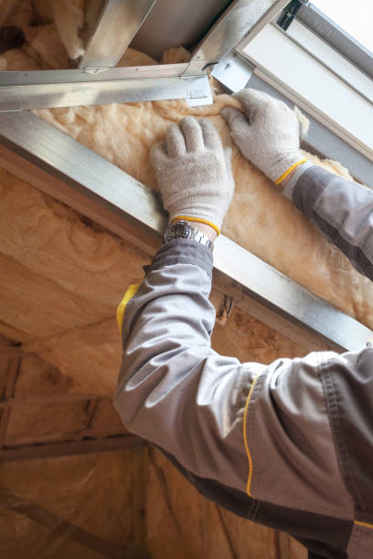 Best Home Insulation Services  in Watkins Glen, NY
