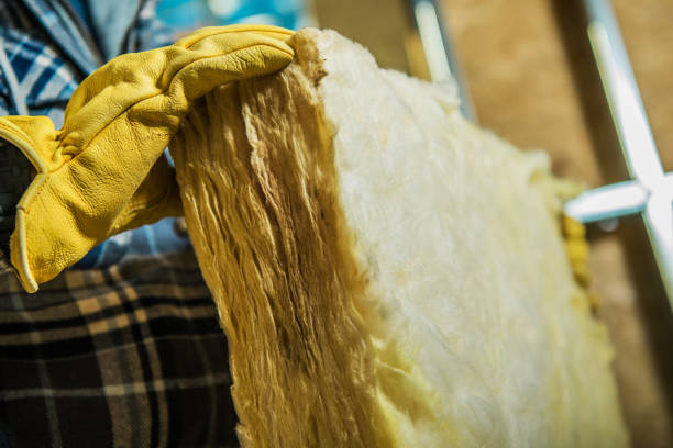 Best Professional Insulation Contractor  in Watkins Glen, NY