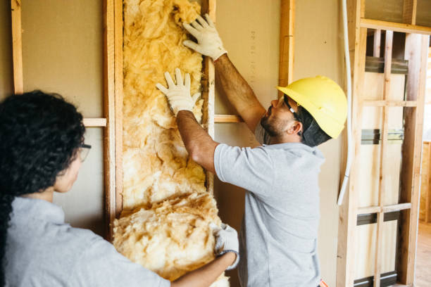 Best Spray Foam Insulation  in Watkins Glen, NY