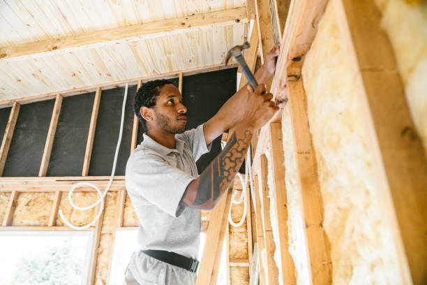 Best Attic Insulation Installation  in Watkins Glen, NY